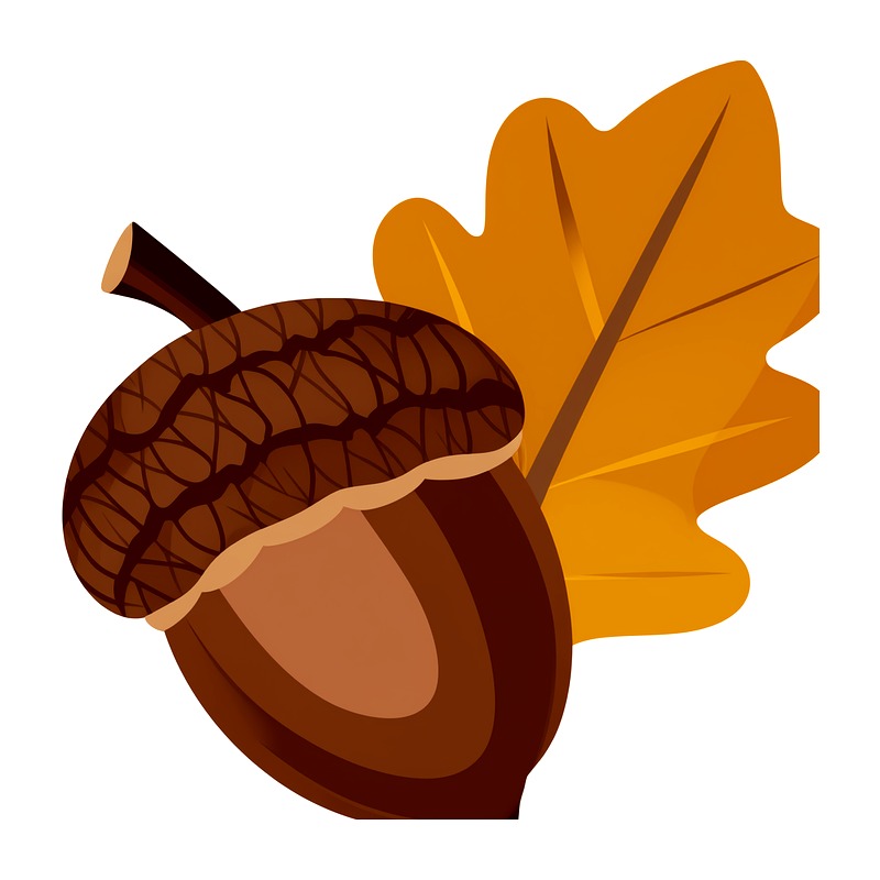Iron On Patch - Autumn Maple Leaf Heat Transfer Vinyl